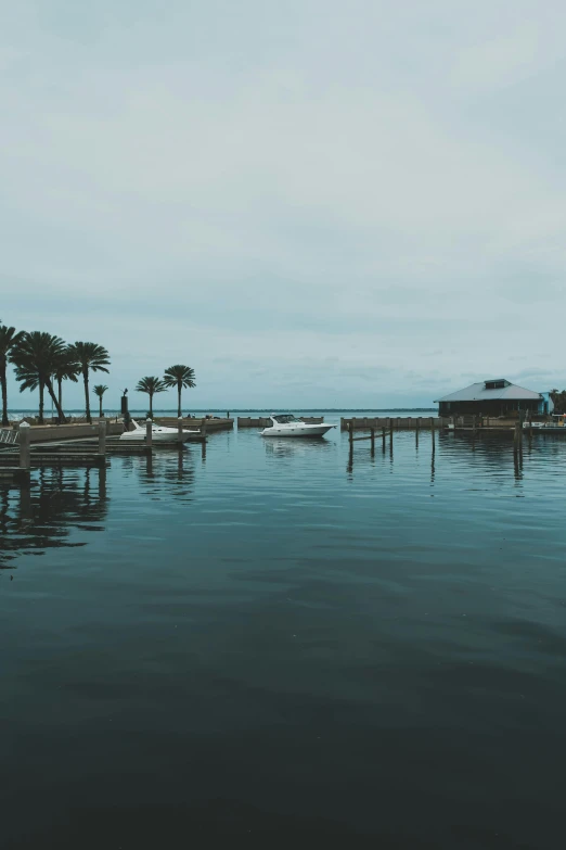 a marina with lots of boats, trees and people