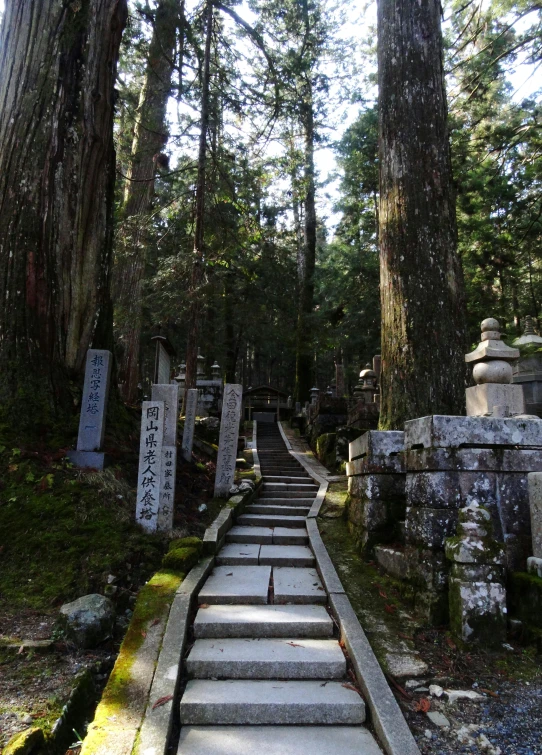 an artistic path in a japanese cemetery