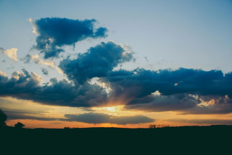 two zes are grazing in the plains during sunset