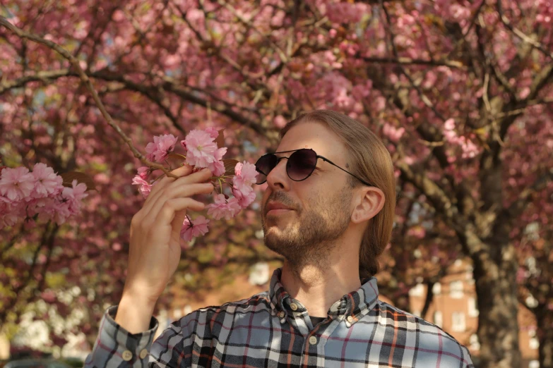 man in plaid shirt looking at blossoming tree