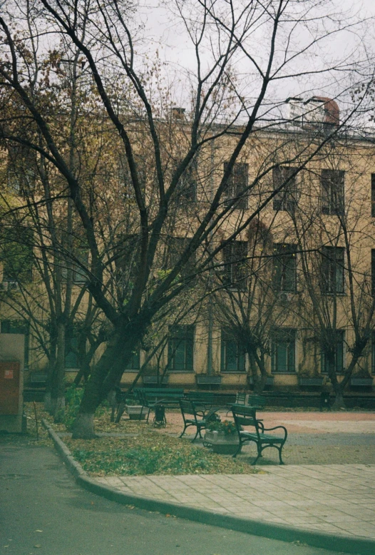 the view of trees, benches, and a building from a park