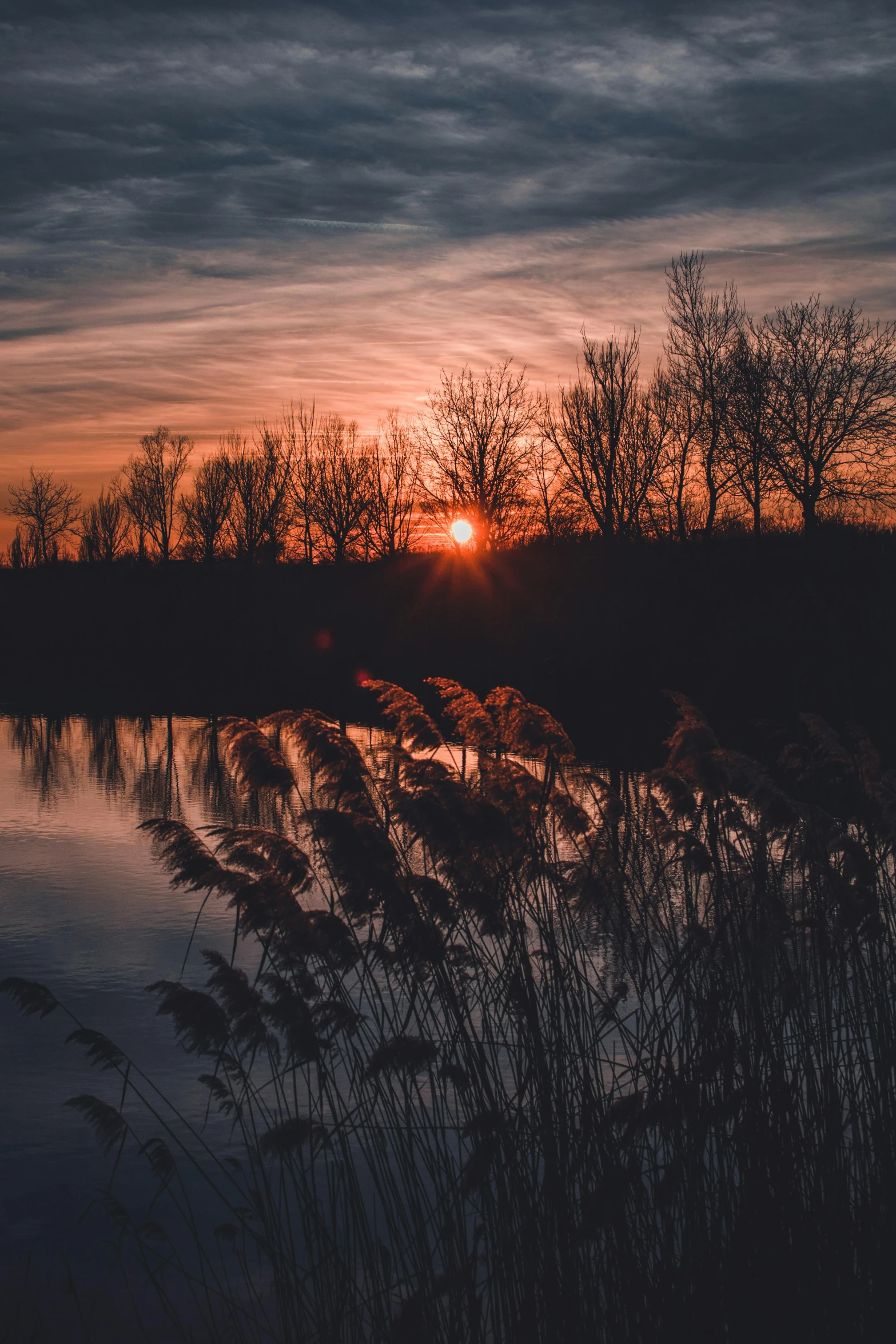 a sunset over a body of water with trees in the background