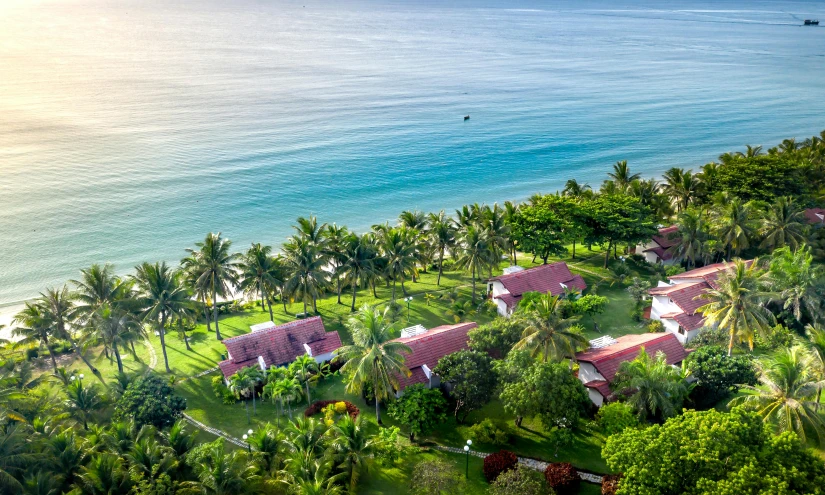 a view of a beach front, ocean and other vegetation