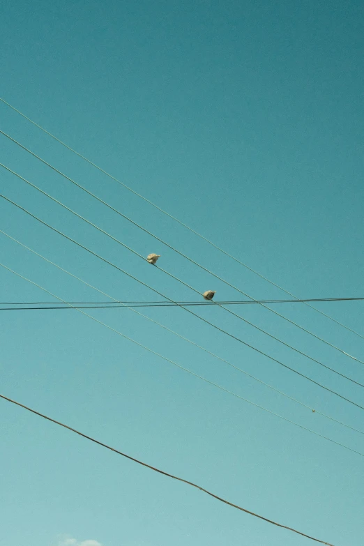 some birds sitting on top of wires under the blue sky