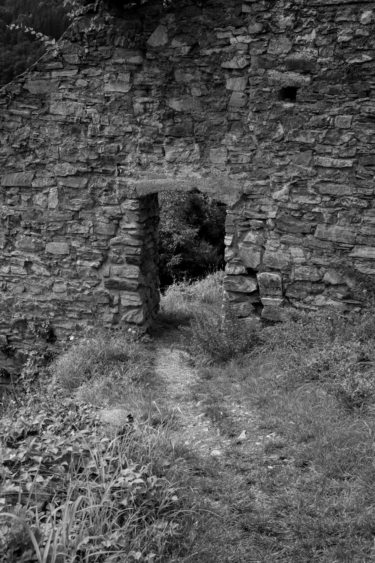 a very old and overgrown stone building with no doors