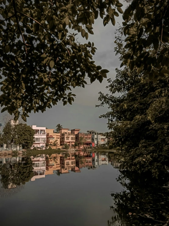 a town near water with houses and trees