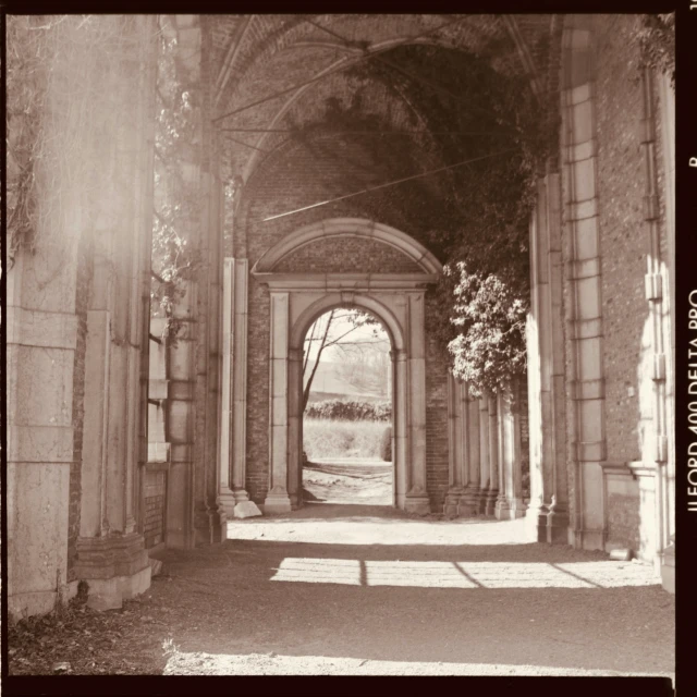 there is a arch with vines on the walls and light pouring out