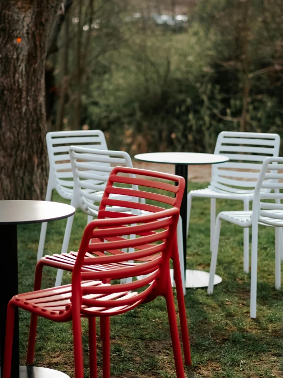 red and white chairs in front of a tree