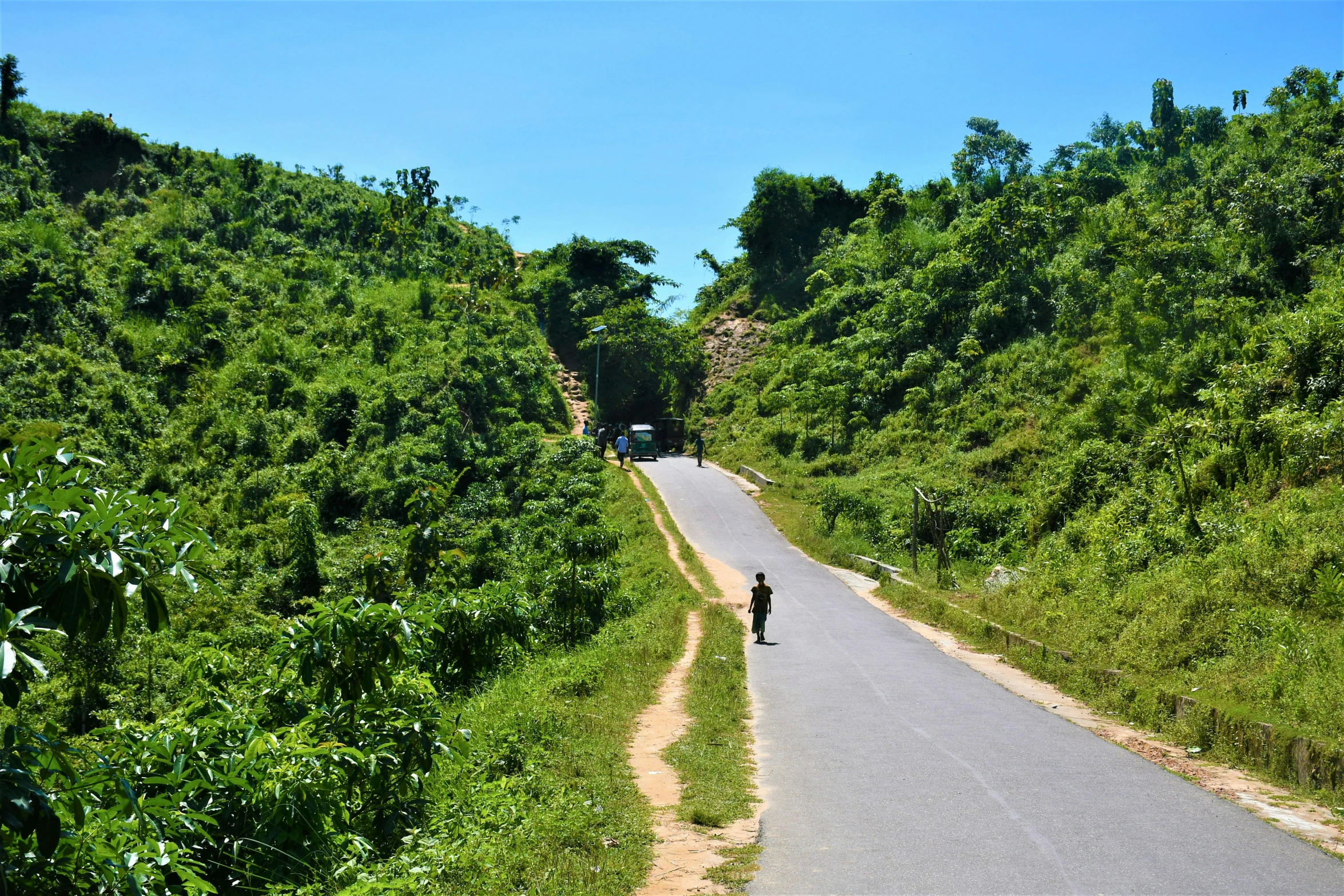 a man standing in the middle of the road, surrounded by trees