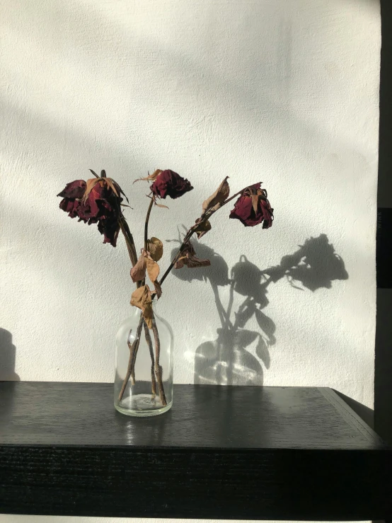 some dead flowers in a clear glass vase