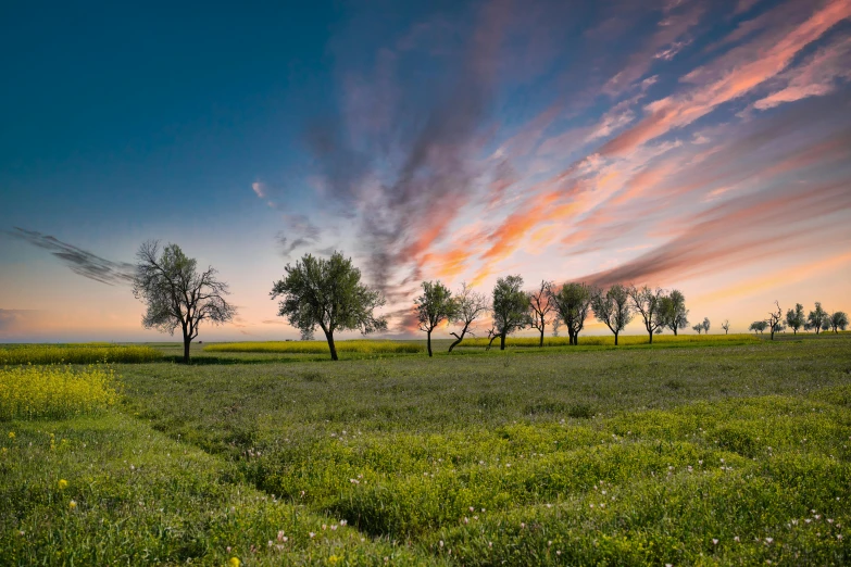 some clouds are rising over a green field