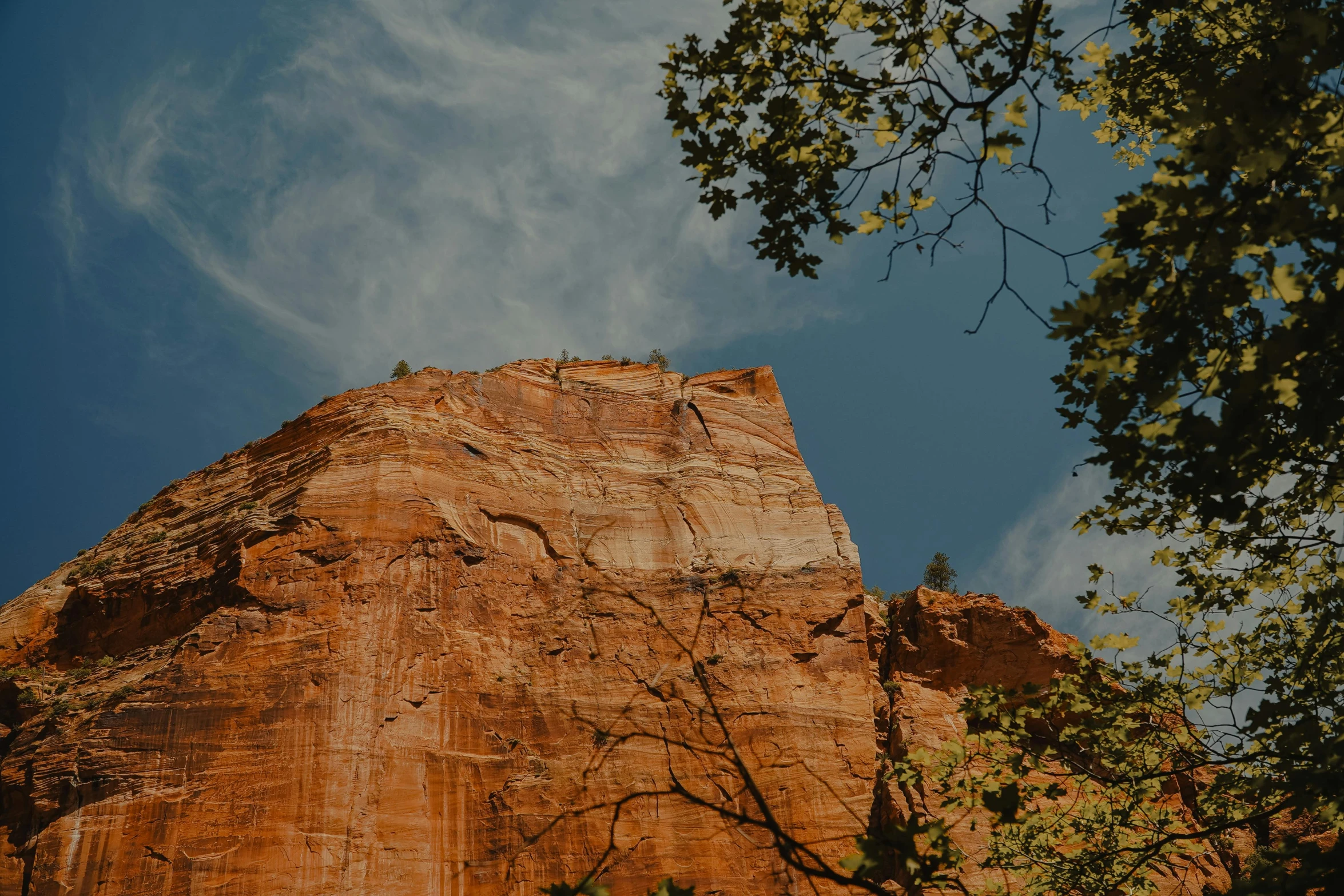 a tall rock in the foreground and a tree near by