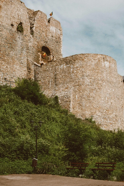 an old castle has some plants growing on it