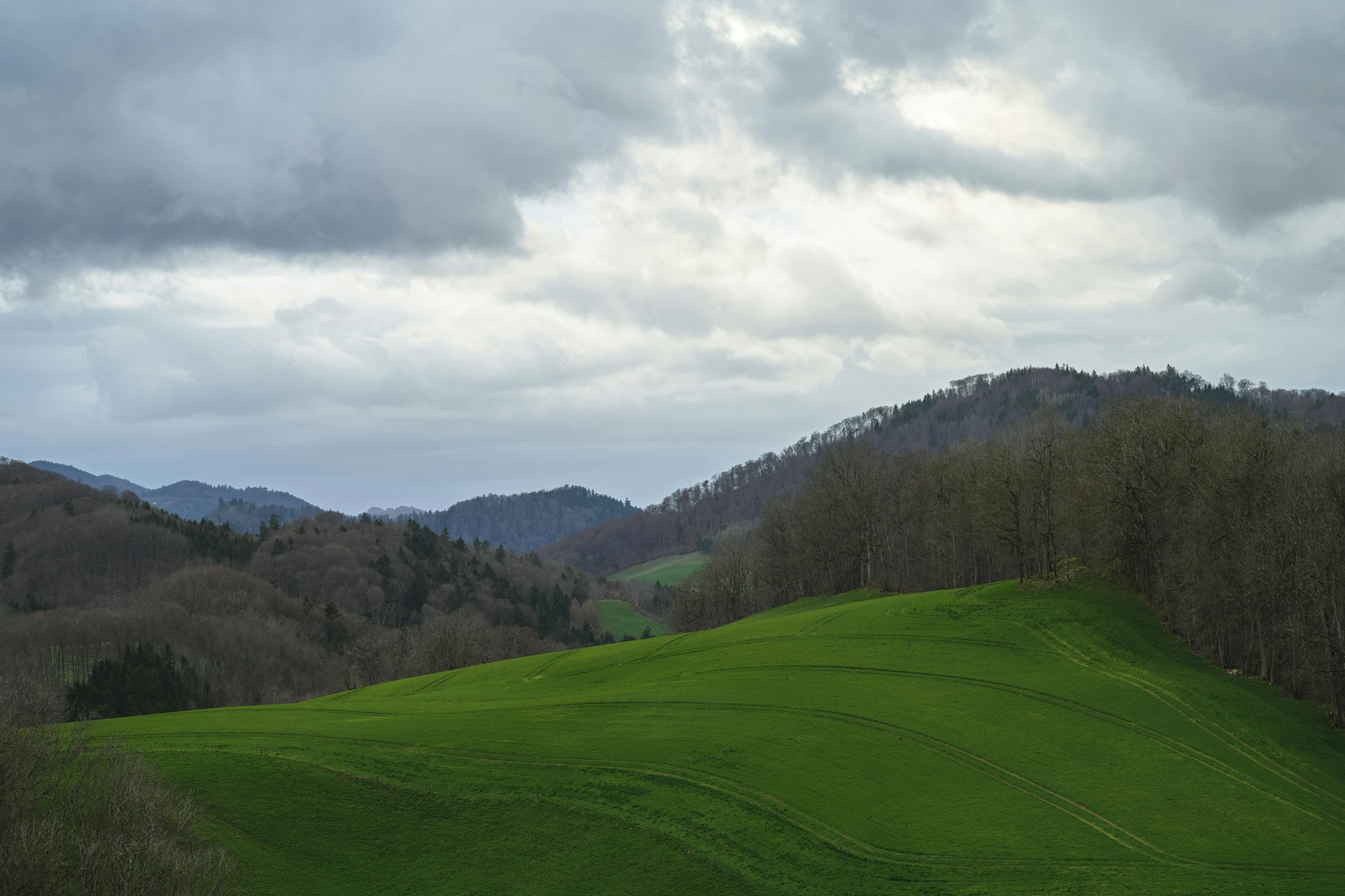 some animals grazing in a field and mountains