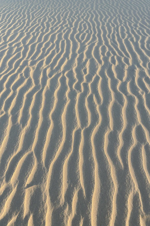 the sand in this desert has wavy patterns