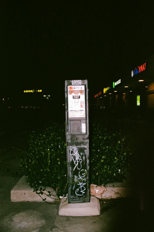 a payphone with graffiti and green bushy vegetation