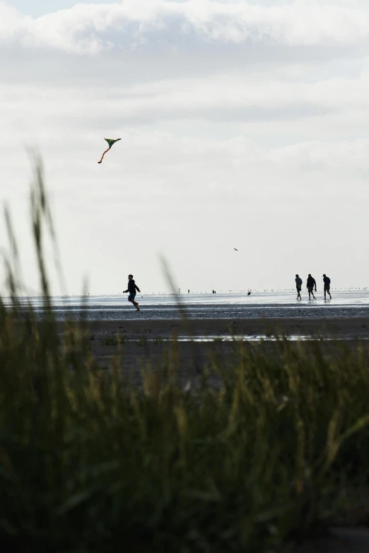 some people are flying a kite on the beach