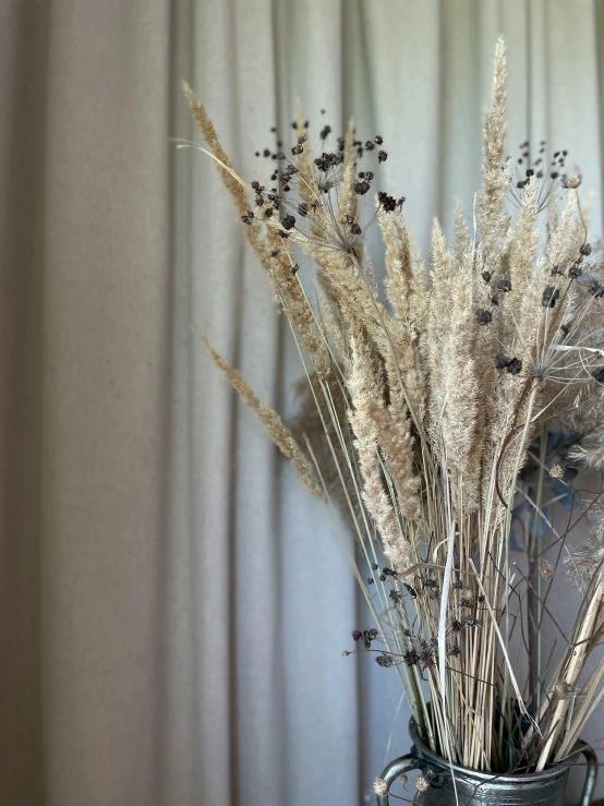 dried plants sitting in front of a curtain