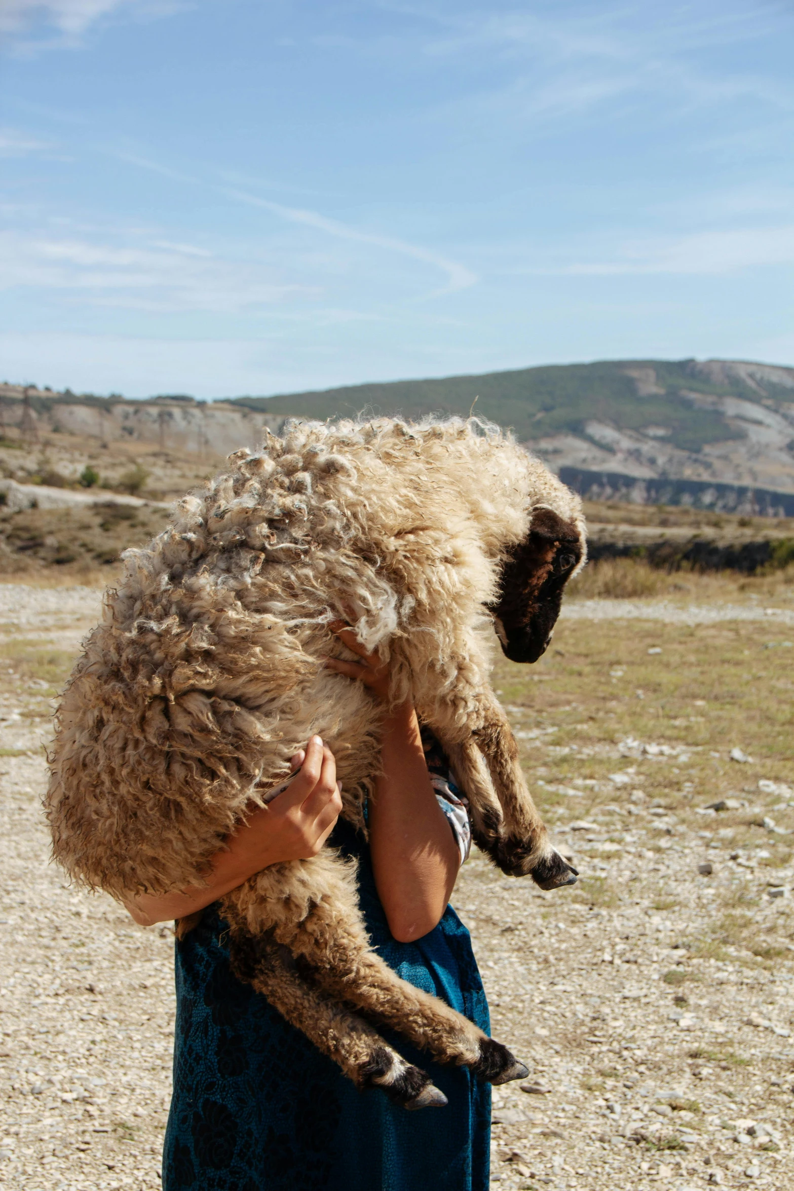 the man holds a sheep in his hands