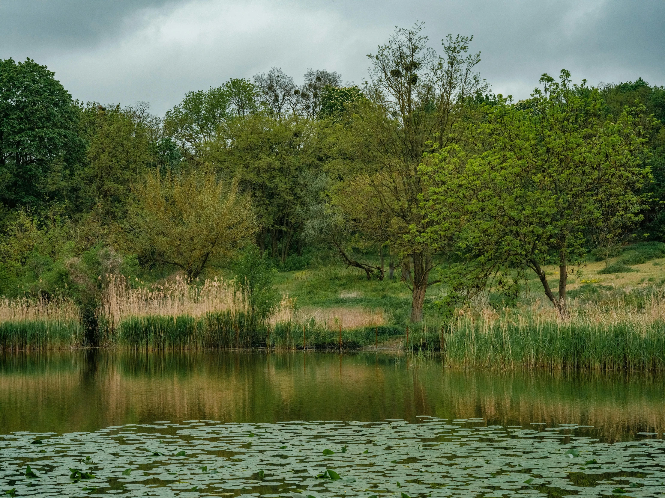 a lake and its reflections in the water