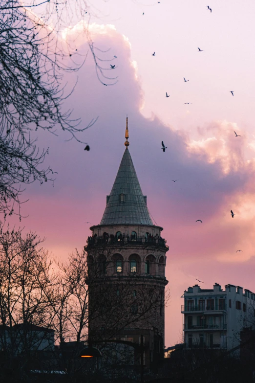 several birds fly by a tall building against a pink sky