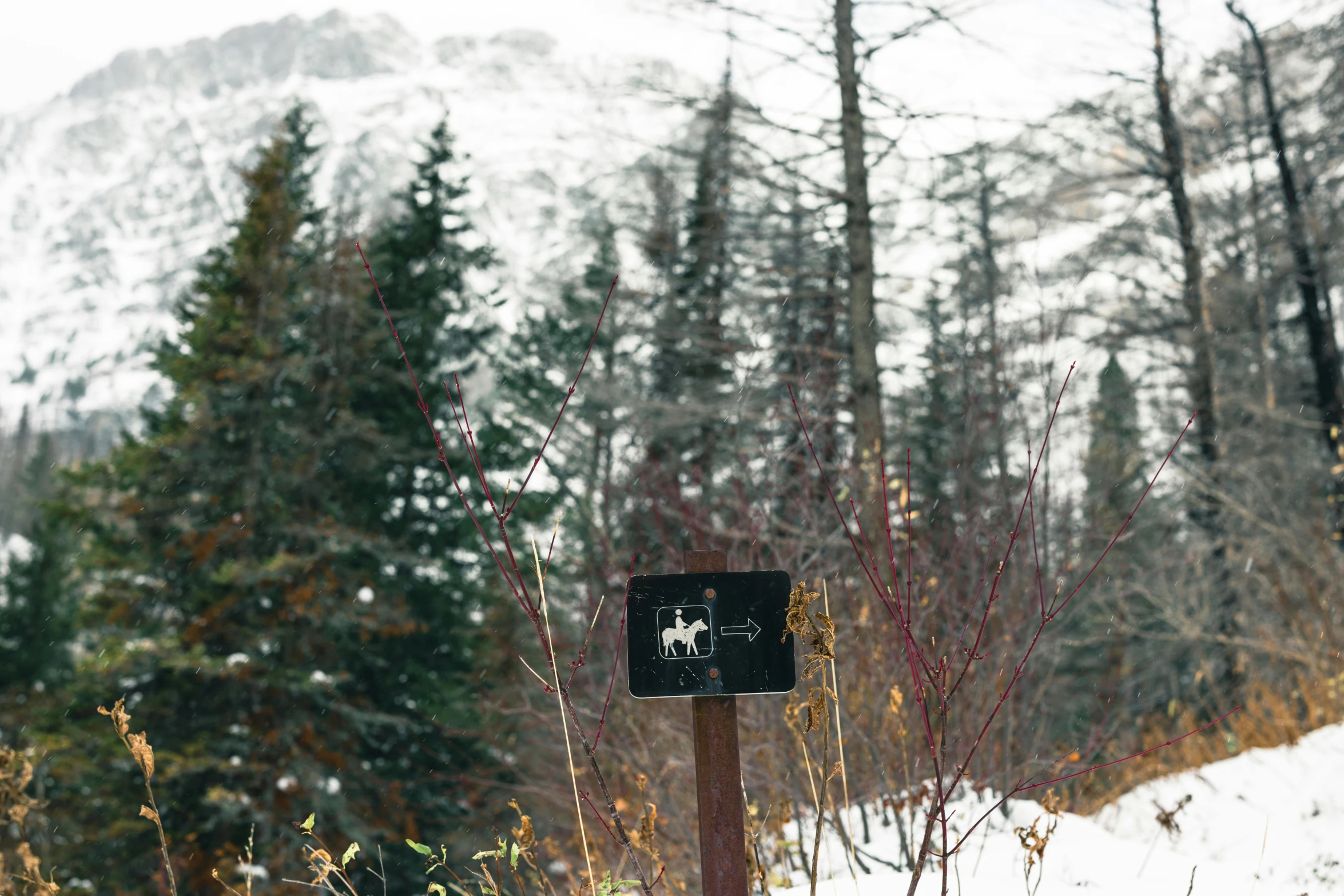 the sign shows that a deer trail is not allowed