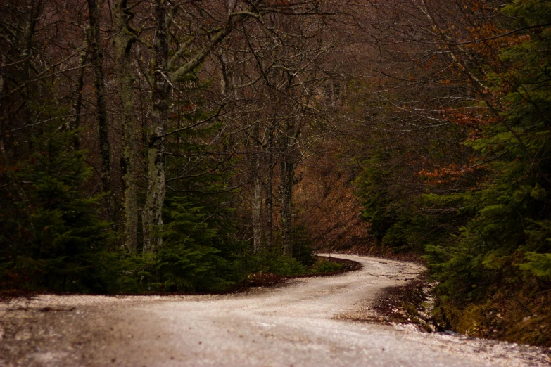 a dirt road next to some trees and bushes