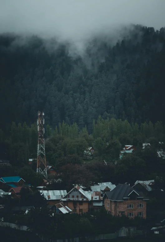 several buildings on a hillside with trees and fog