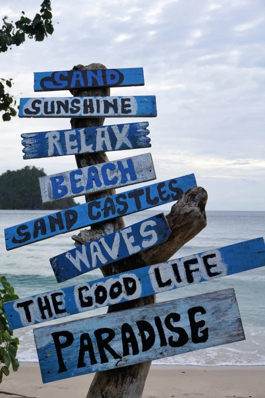 several wooden signs point the way to different destinations