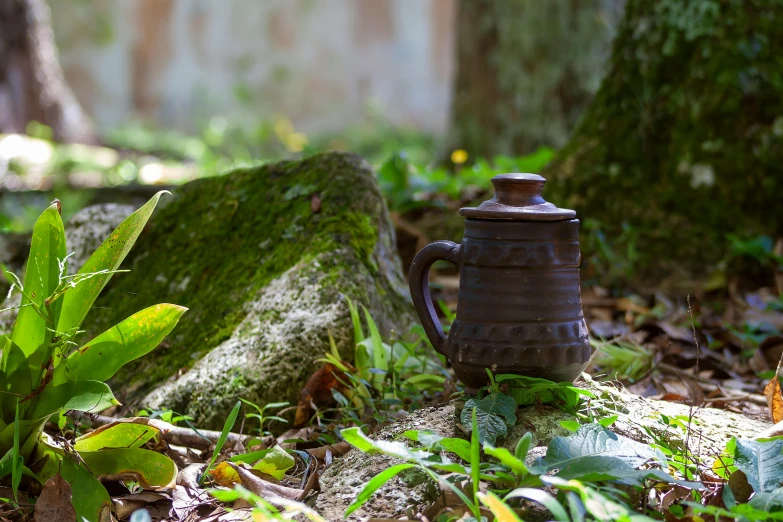 the vase is on the ground next to moss