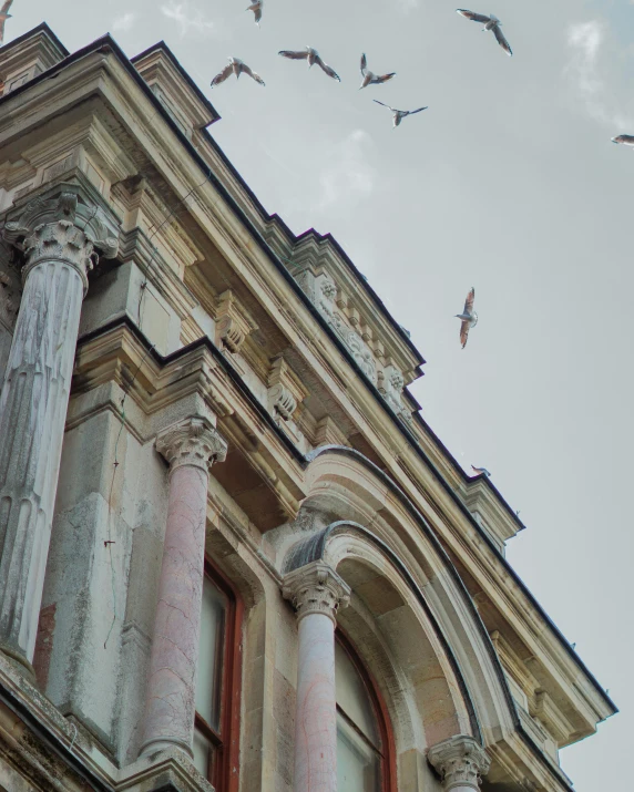 a flock of birds flying over a large building