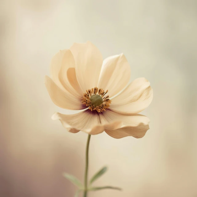 a flower that has been placed on top of a pole