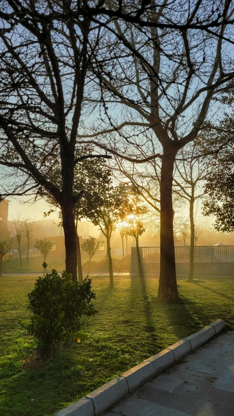 the sun is setting through some trees in a park