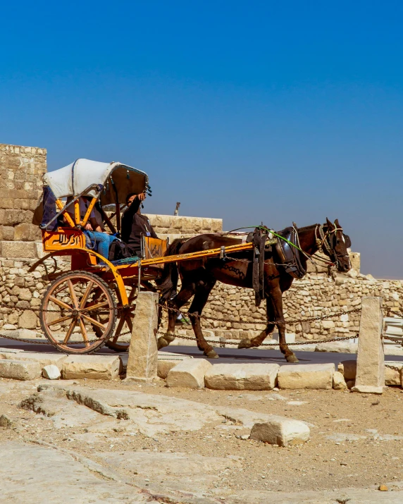 a man with some bags strapped to a buggy