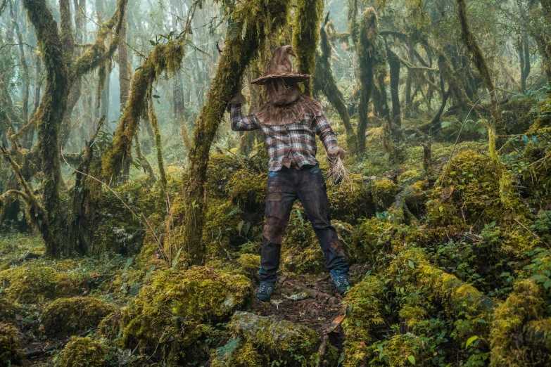 the man is walking in the mossy forest