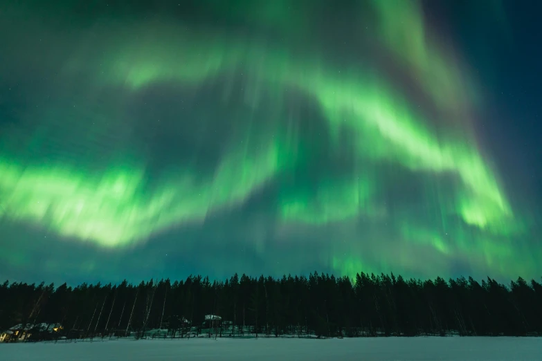 a aurora bore in the sky above a wooded area