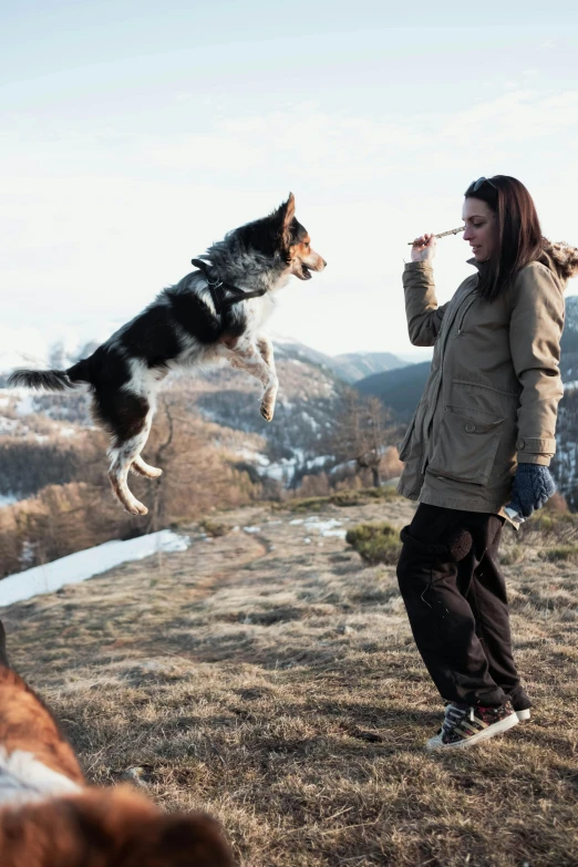 woman standing on a hillside, feeding her dog while drinking
