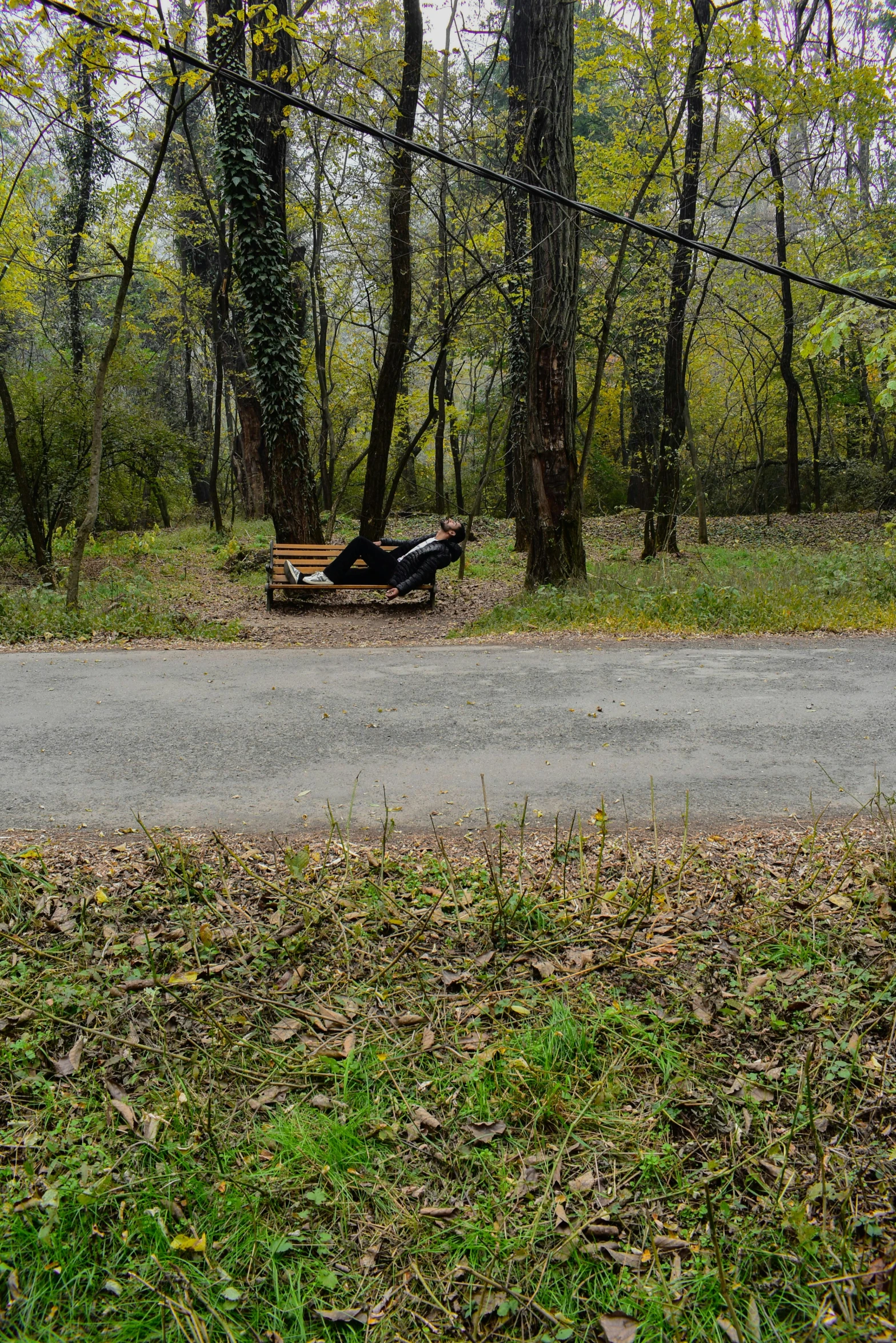 a paved street and street sign sitting along side of a wooded area