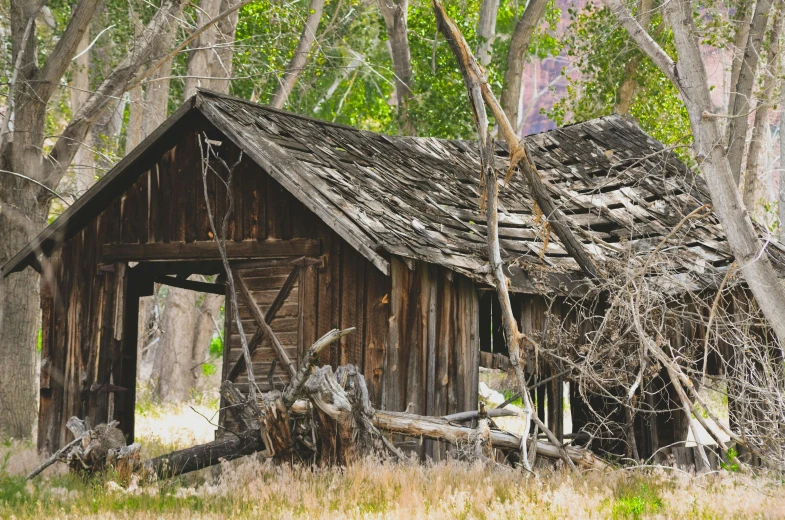 a rustic shack with debris around it on the grass