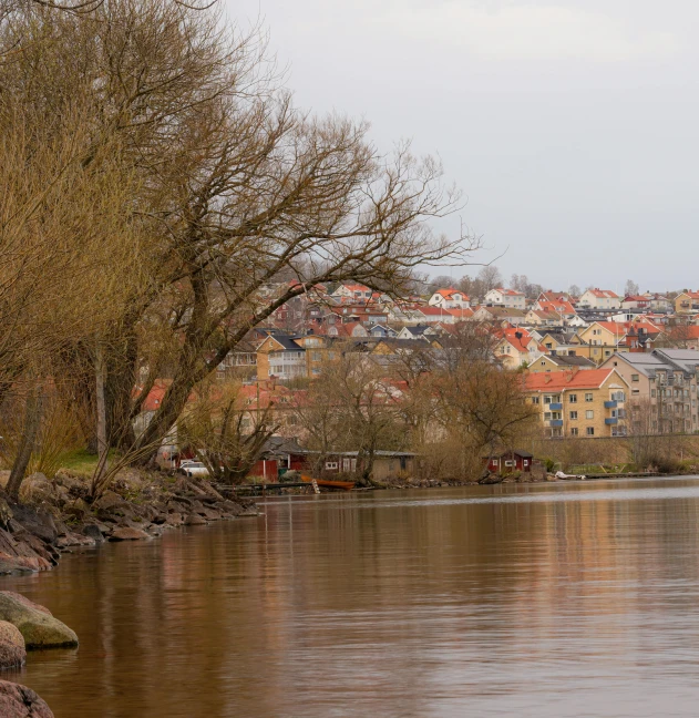 an urban setting behind the water with trees in front