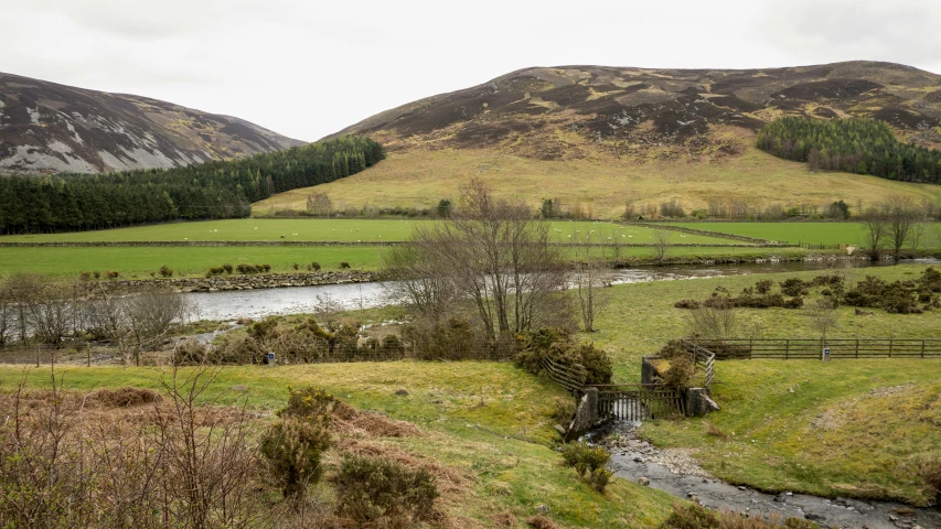 a body of water sitting in the middle of a lush green field