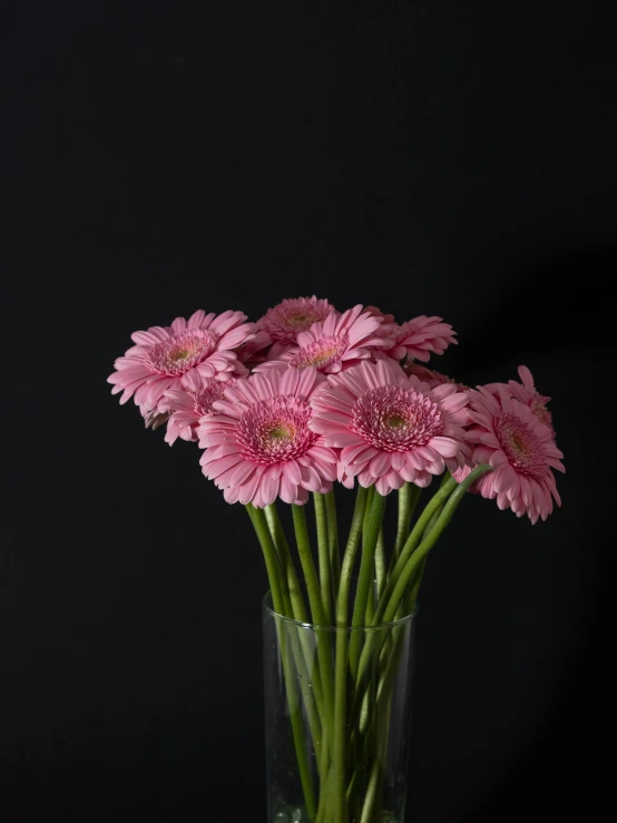 the pink flowers are in a clear vase