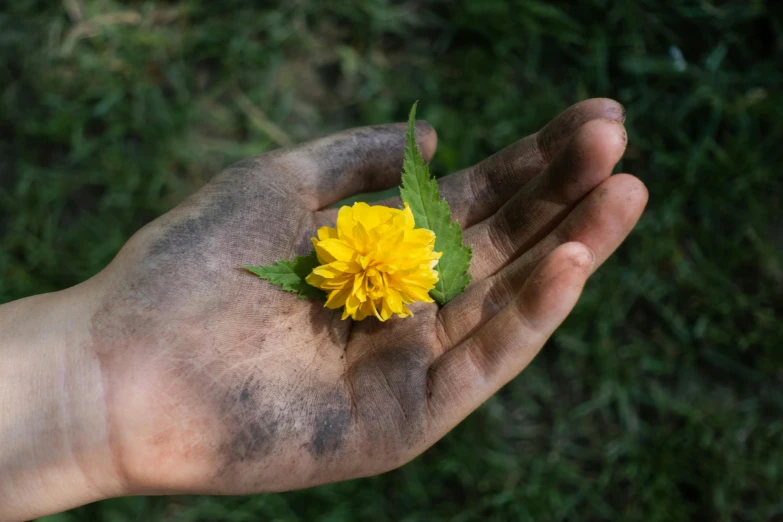 the person holding a small flower is dirty