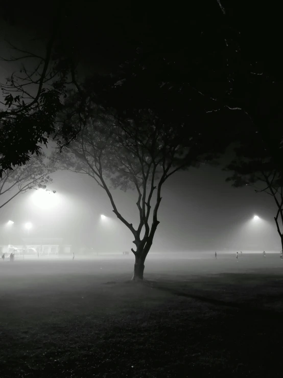 fog looms in a park on a hazy night