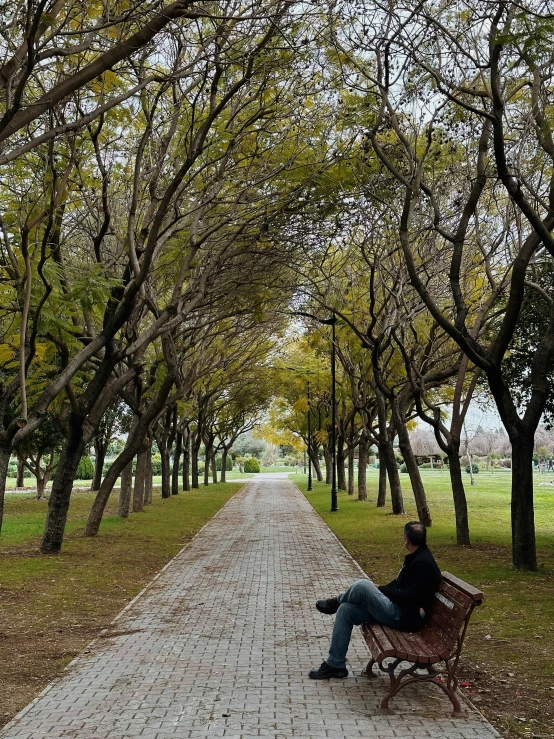 a man is sitting on a bench on a walkway