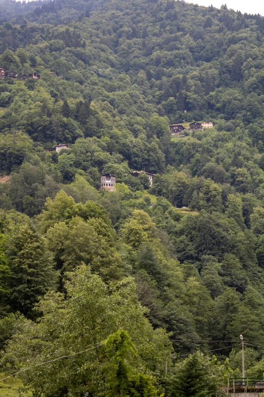 a po of trees and houses sitting in the mountains