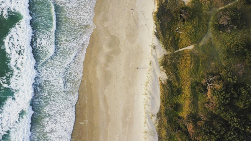 an aerial s of a beach and forest area