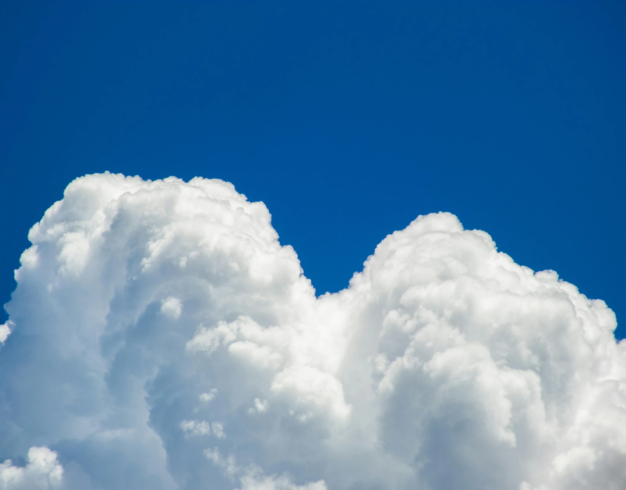 clouds in the shape of an owl floating on a cloud