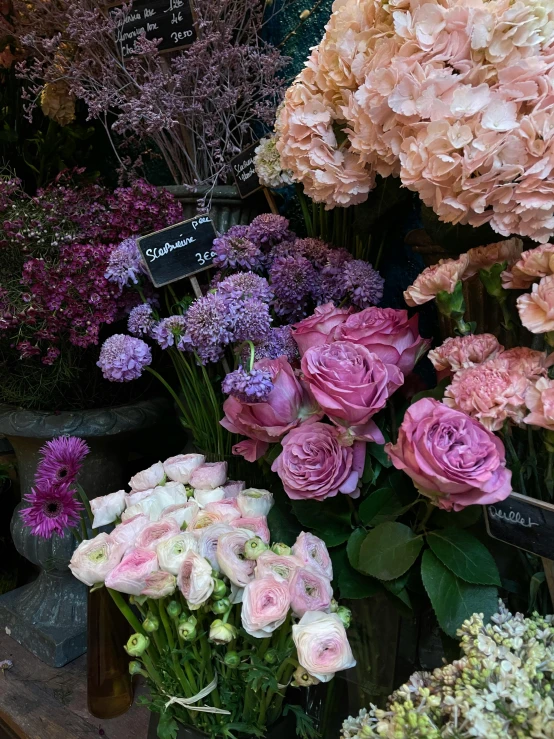 large assortment of colorful flowers sitting on display