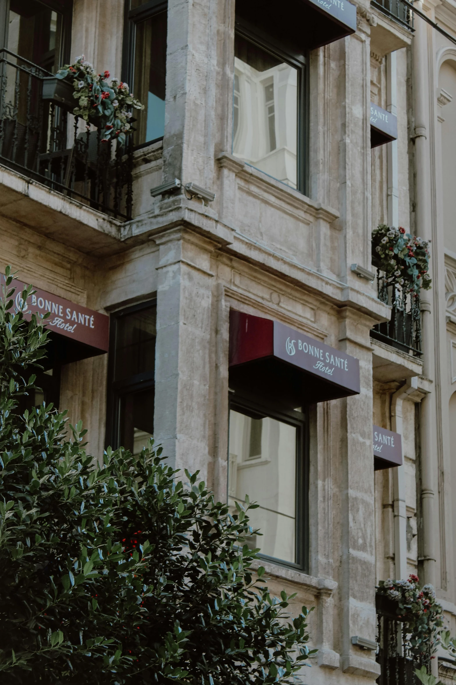 the building has several windows on it and plants in pots